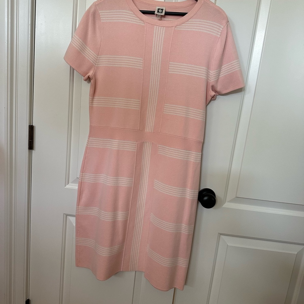 Anne Klein Soft Pink Mini Dress with Stripes
